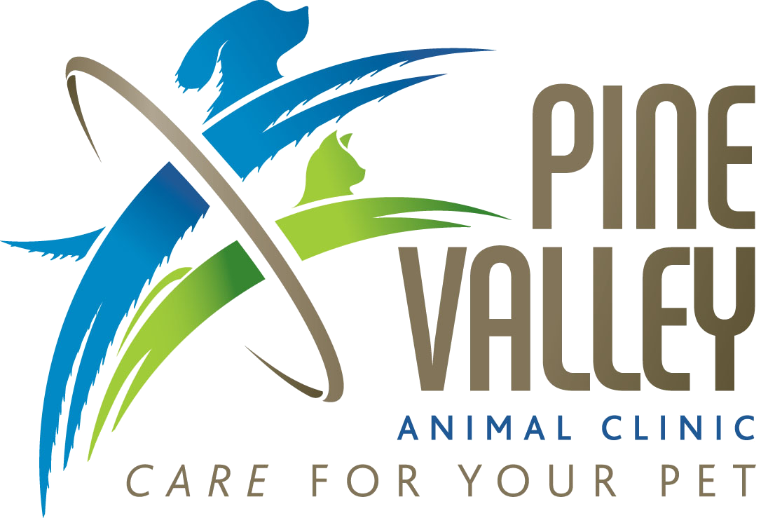 About Us - Pine Valley Animal Clinic - London, ON