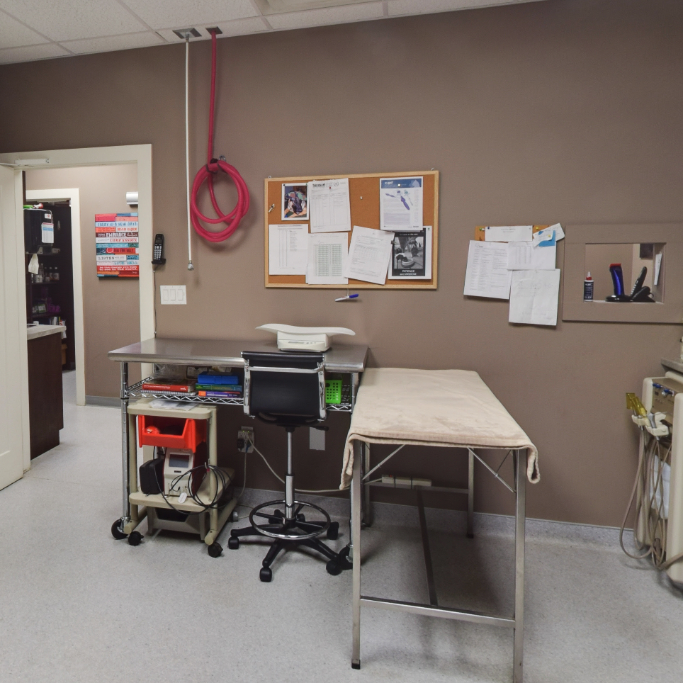 Procedure Room